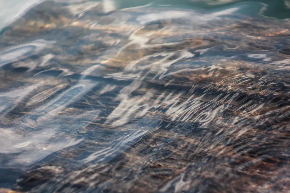 Colorful tropical garden with exotic flowers and palm trees