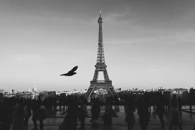Elephant family herd walking through dusty savanna
